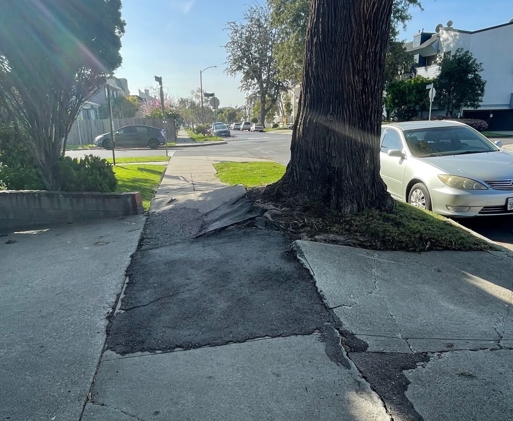 How Much Does it Cost to Repair One Piece of Sidewalk